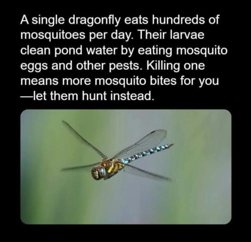 d7fc3325-f86c-40e2-9b7c-07fae8edfcf8