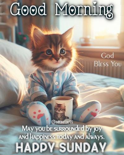 7b869fcd3aad5d6adfec0b4d3cae928c