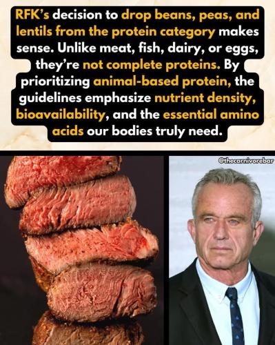 aafdae9b-3dab-4de1-85c3-48fc6fd97af4