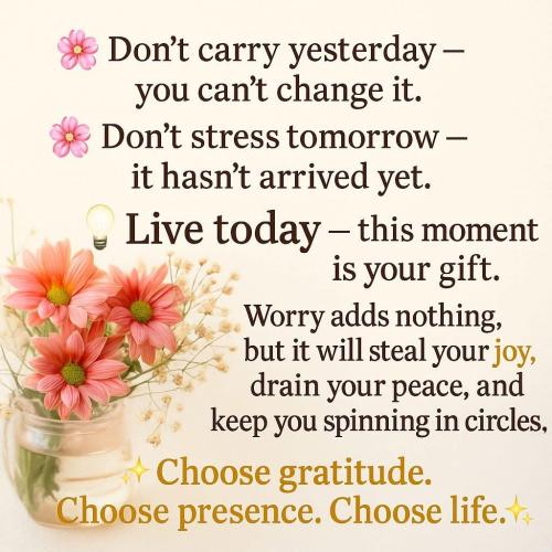 553864796_781438187973475_1308700096089362683_n