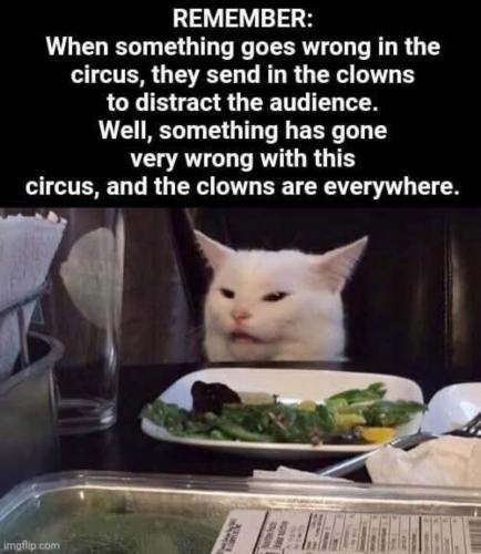 71a6a771-1b9a-49de-a5ec-727a4806d2ee