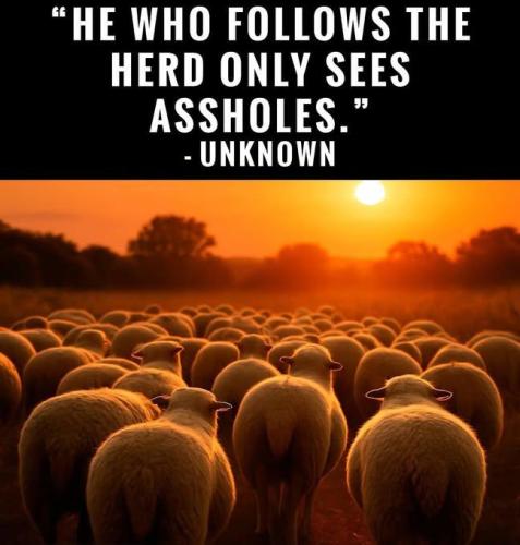 IMG_20250929_174007_276