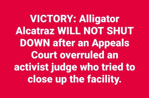 e15383bb-dc6d-4f73-9dd7-b53e83e6609f