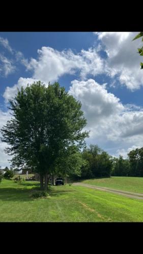 6F939AF9-39F2-4D80-B38C-1CD5383C7ABF