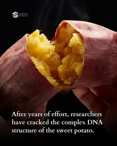 02bc12bb-aac6-4426-89a8-422073b6c173