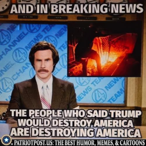 01K4PB1293ZJ6Y9RYVEN58ZVB5