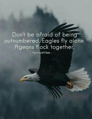 0240bf42-4db0-4fcf-81f0-ff44fbaebe35