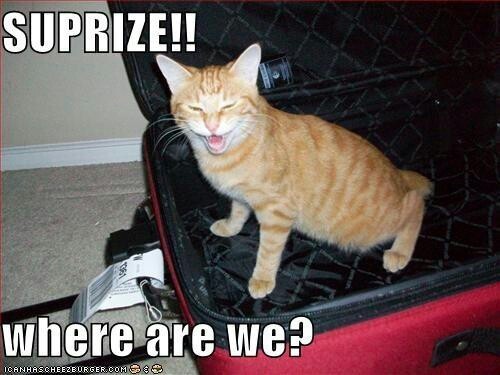 55ade3dfa276d9e02c6e0703830d000b