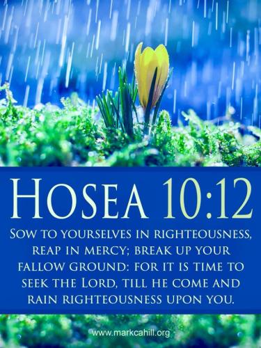 christian beliefs 74