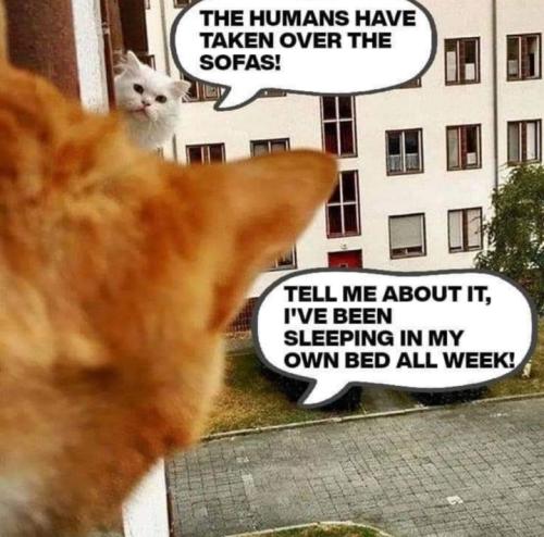 Screenshot_20250920_164047_Gallery