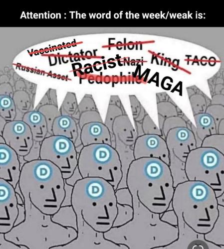 ff039314-f638-43e9-9f37-25fa23cf650e