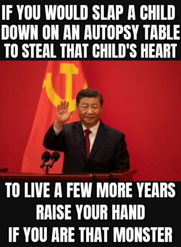 ZomboMeme 09092025084200