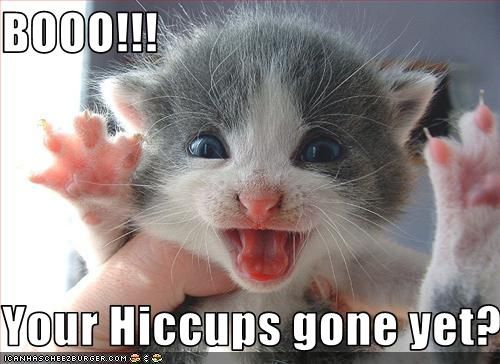 9ab2f4dd06ecdfaaa1fd76e707c7e454