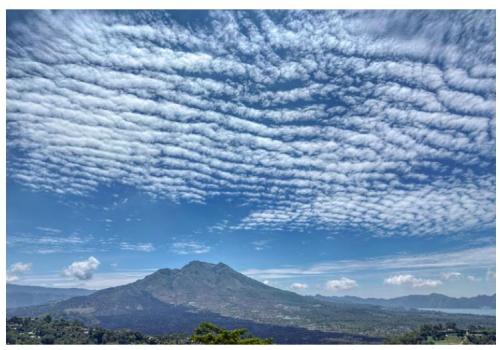 cd5336a4-a0db-4bbb-b7e8-9cba44a7dc11