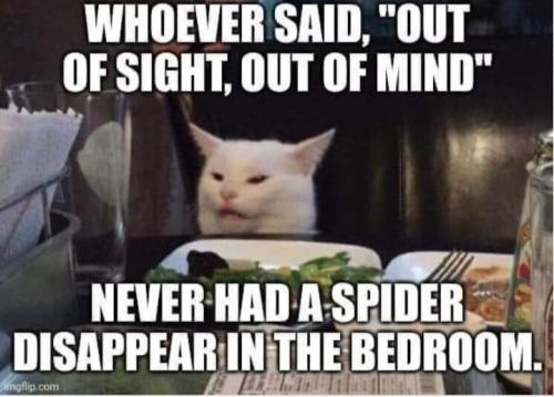 0d801c6cf938cb931bd4e366a263b65d