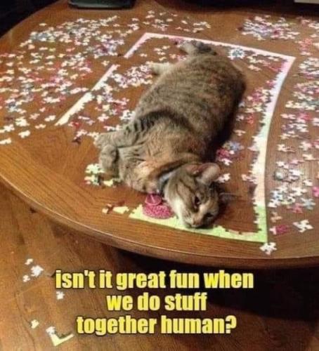 47b293a00a138a3f65d88d70990b46cf