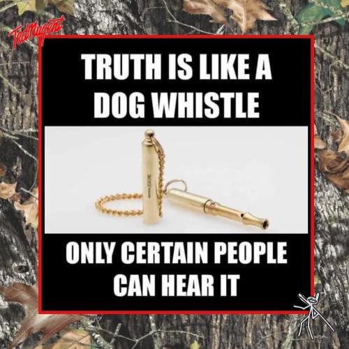 FB_IMG_1758039241029