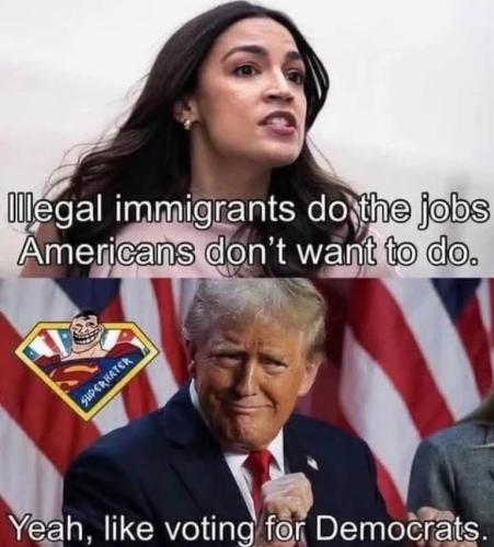 ILLEGAL ALIENS DO THE JOBS