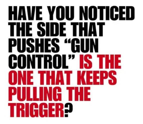 side-wanting-gun-control-pulls-trigger