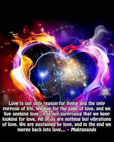 .      312910013_11556575753