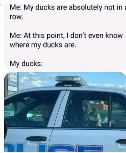 Screenshot_20250918_164703_Gallery