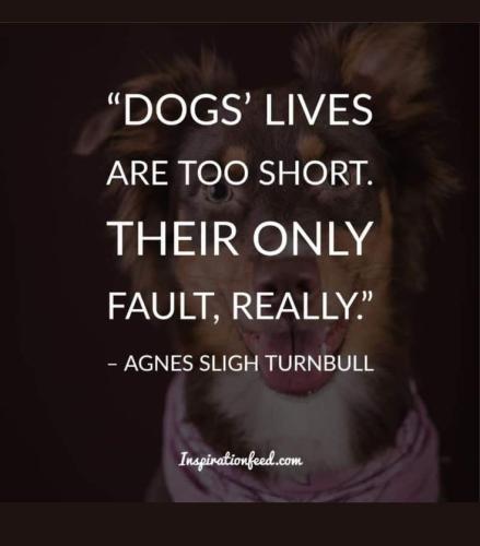 6c31f5fe26c9aee8a54071673bcfc527