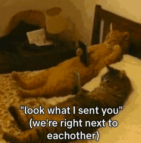 look-sent-right-next-eachother