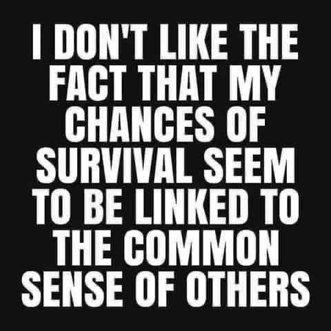 IMG_20250917_185625_263