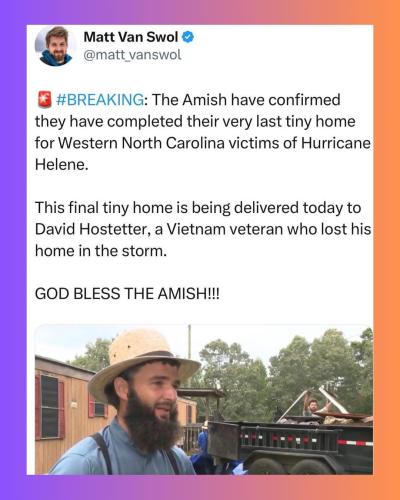 amish f