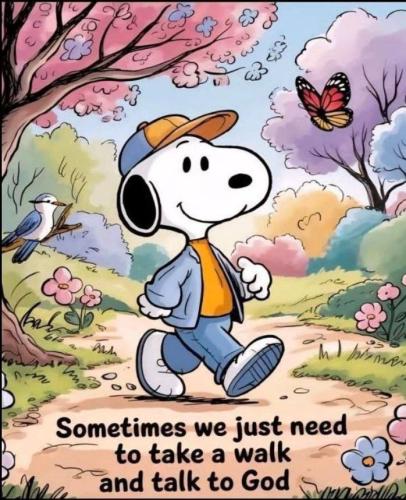 photo_2025-09-08_16-33-31