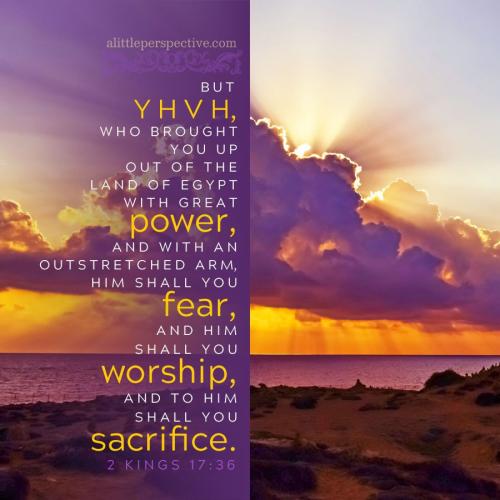 2-kin-17-36-JPS-pixabay-9x