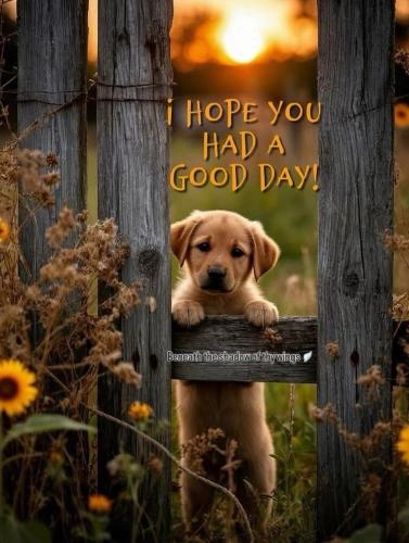 556697523_18026005490743683_1509312433141171479_n