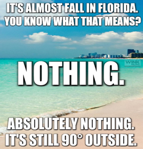 image_9F54F2DC-C7D1-4A23-9258-EEDF113955AD