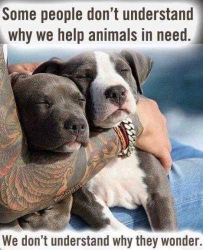 36491875832ff27fe2e6c99ca45c956e