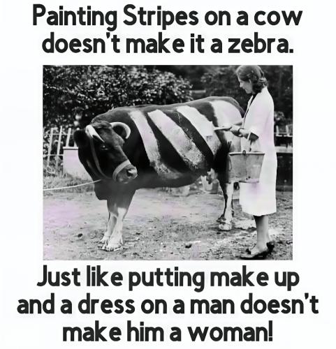 Low-img - 2025-09-07T103724.476-recover v2-0.8x