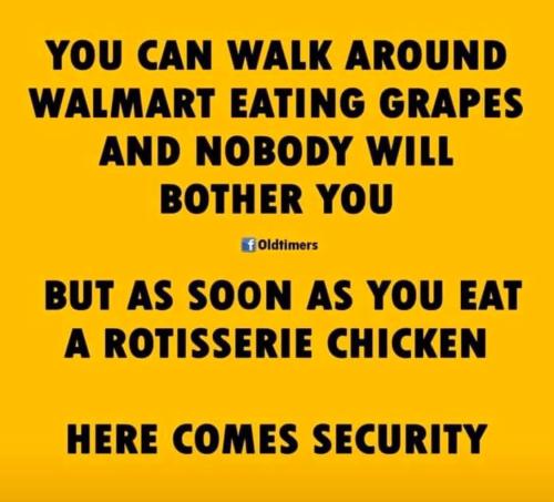 IMG_20250917_172637_517