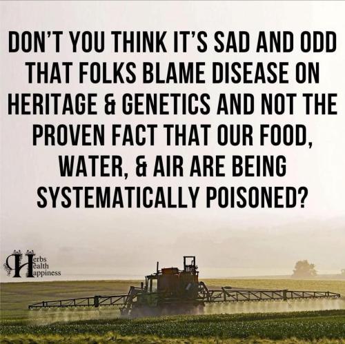 530362816_10165938003418569_6398760260733976206_n