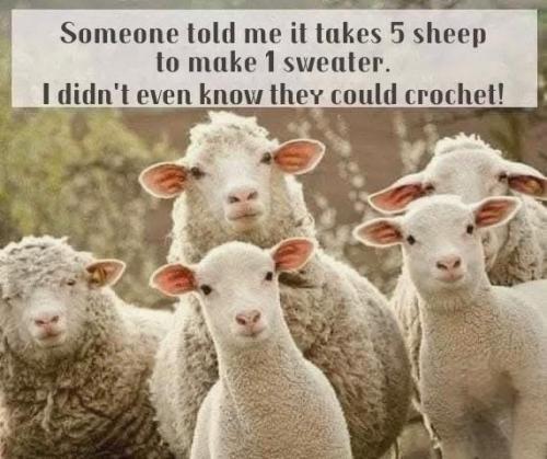 541527640_1142793941040279_460178314880386290_n