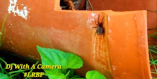 Screenshot_20250902_070307_Gallery