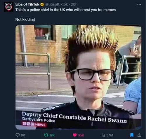 police-cheif-meme-arrests