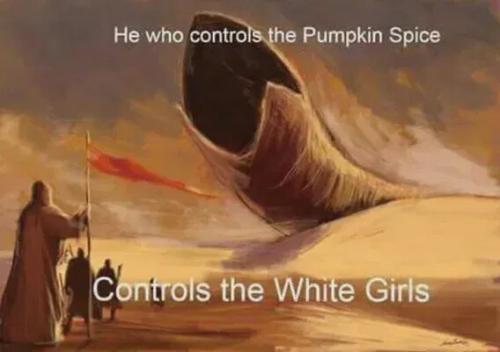 controls-pumpkin-spice-controls-white-girls