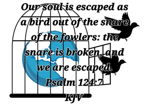 faf489aa-02f8-4ba2-8330-064ad2ca201a