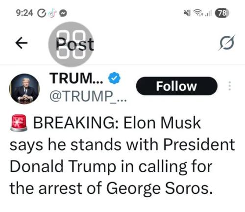 musk-trump-arrest-soros