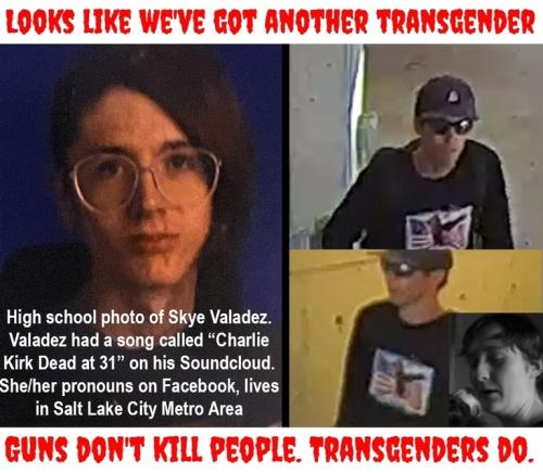 Guns don't kill people transgenders do2.768px