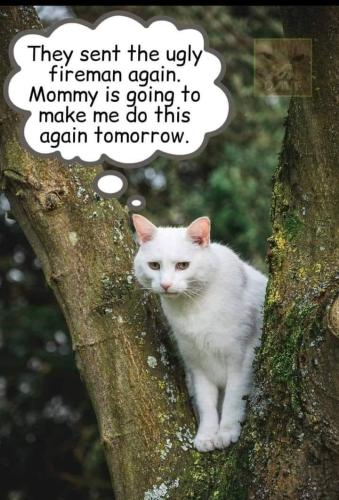 C5C0B61F-F3B2-4F18-904A-DC9DEA57FF69-344-00000010151224E0