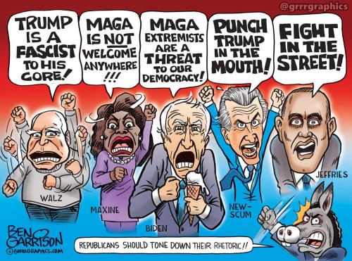 democrat_hate-speech-2025-1536x1142