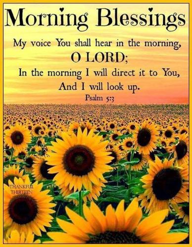 547830863_18024320525743683_5249184385195272289_n