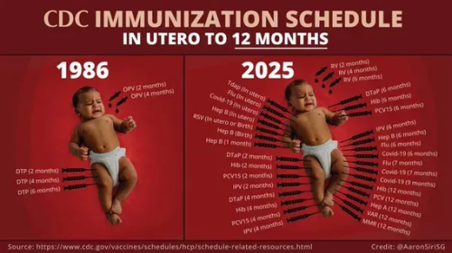 image_2025-09-05_065224056