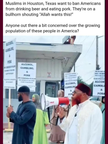 2da50491b6e3d0186e386c68f05e6239_1024