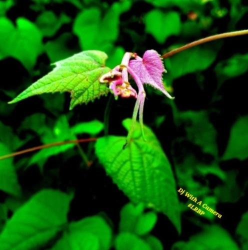 Screenshot_20250915_082704_Gallery